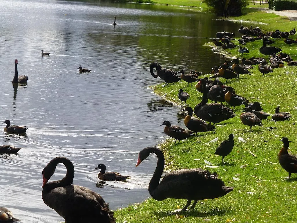 ****  Lakeside Bed & Breakfast Perth Australia